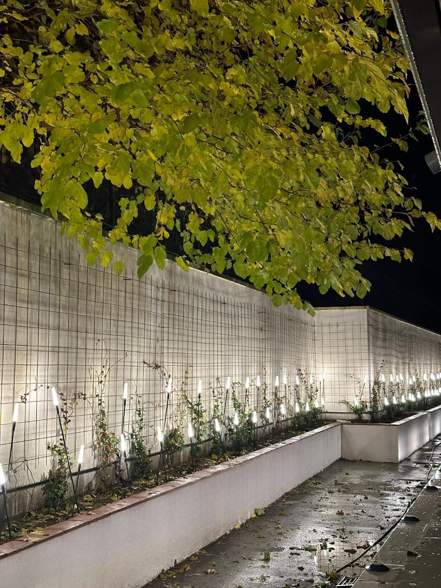 The Roots Boutique Hotel Шкодер Экстерьер фото